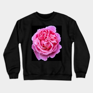 Large Pink Rose Crewneck Sweatshirt